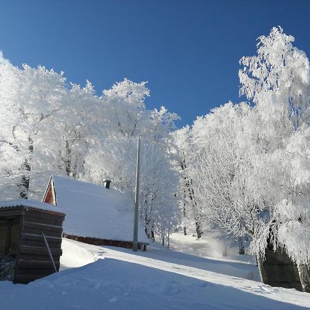 Mountain Village Zabljak  Exterior photo